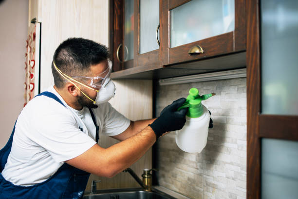 Best Bed Bug Extermination  in Troup, TX