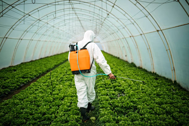 Best Affordable Pest Control Services  in Troup, TX