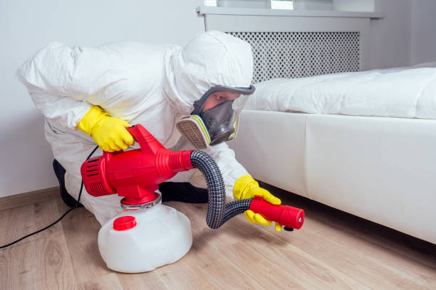 Best Cockroach Control Services  in Troup, TX