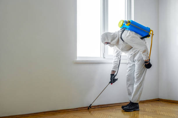 Best Insect Control  in Troup, TX