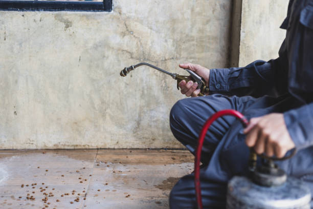 Best Pest Control Near Me  in Troup, TX